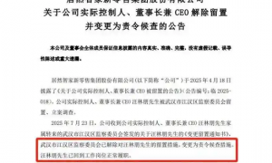 留置归来！湖北前首富居然智家汪林朋突然跳楼