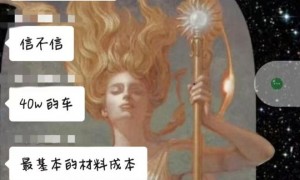 车主喊话雷军：别直播了，给我们一个解释吧