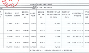 募投项目投入急降速并延期 不差钱的合合信息赴港IPO纯圈钱？