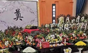 杨少华去世细节！睡醒头晕，下午3点半走的，郭德纲深夜前去吊唁