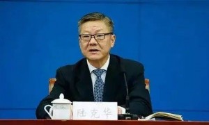 陆克华被逮捕！是首个被批搞“低级红”“高级黑”的落马高官