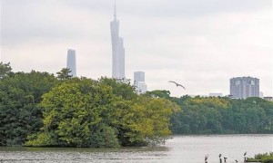2025“羊城八景”评审组调研海珠